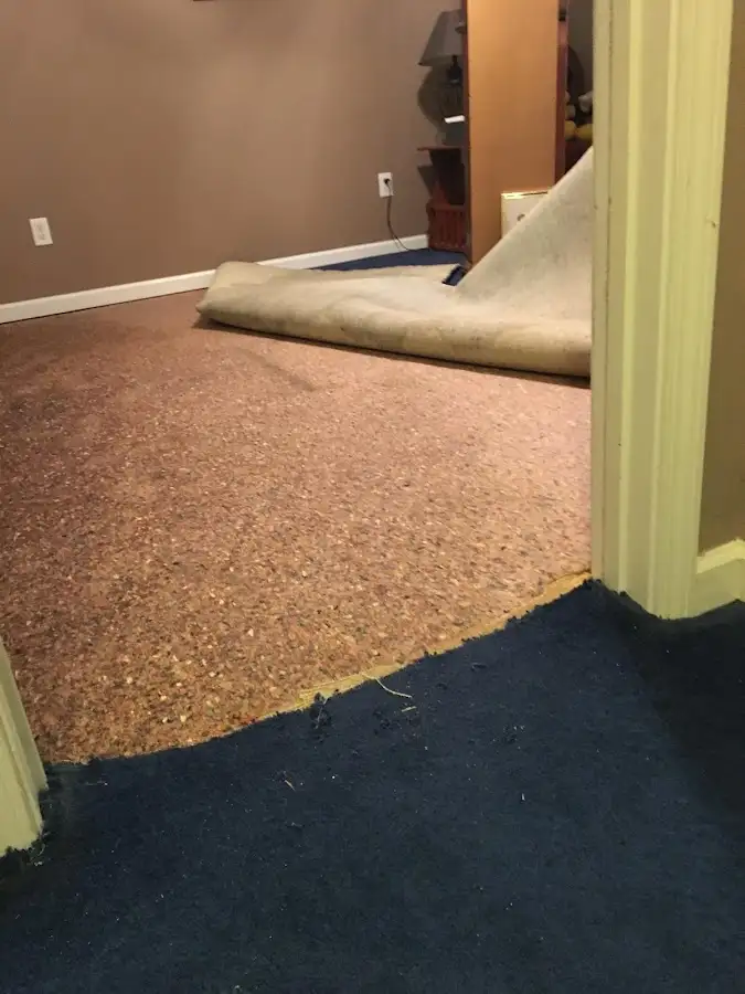 Carpet pad removal revealing water damage during Drying & Dehumidification in Poplar Grove