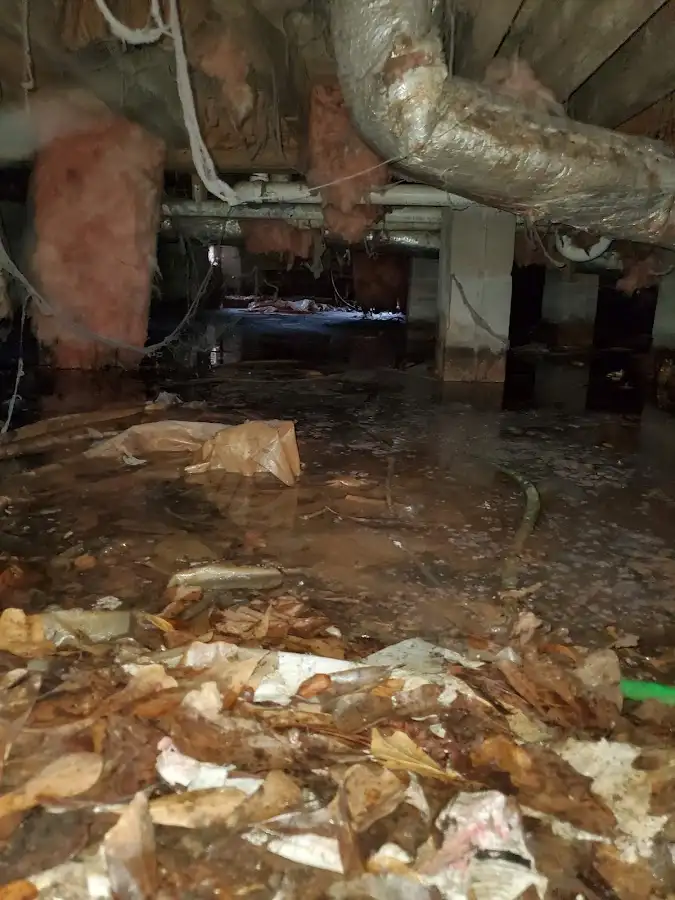 Crawl space flood assessment for Commercial Water Damage Restoration in Poplar Grove